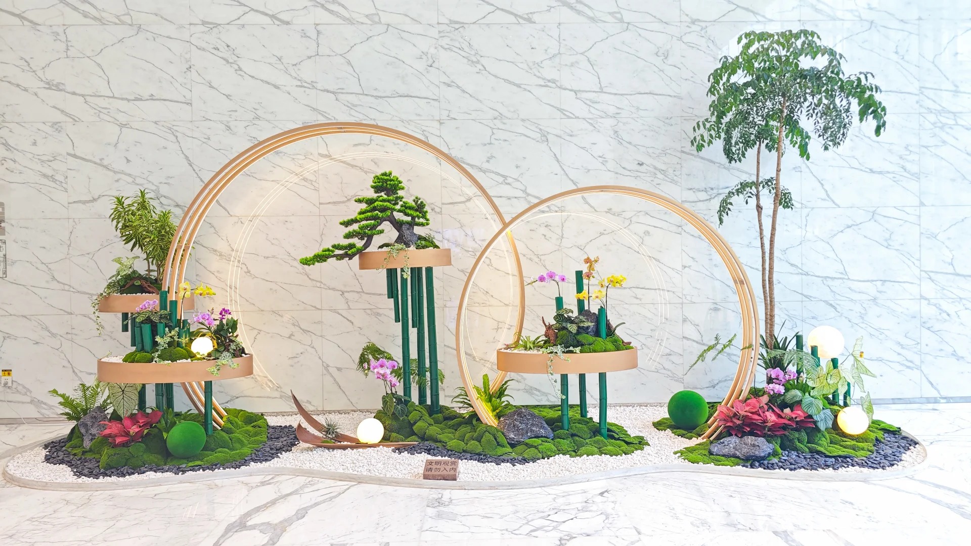 专业盆景出租，让宁波海曙更具魅力